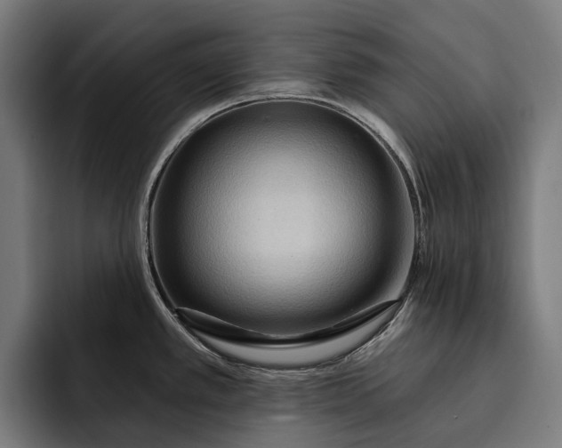 X0000093251389200710101432