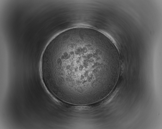 X0000093251391200710101432