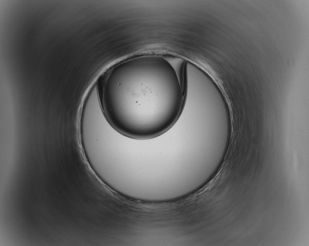 X0000093251392200710101432