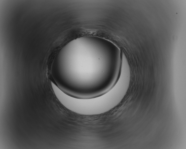 X0000093251394200710101432