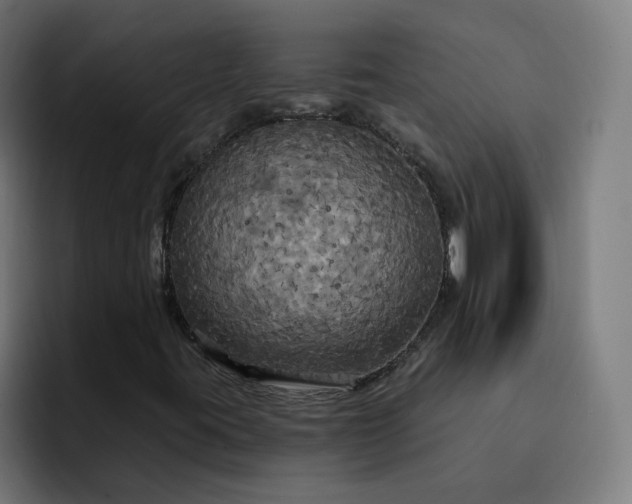 X0000093251395200710101432