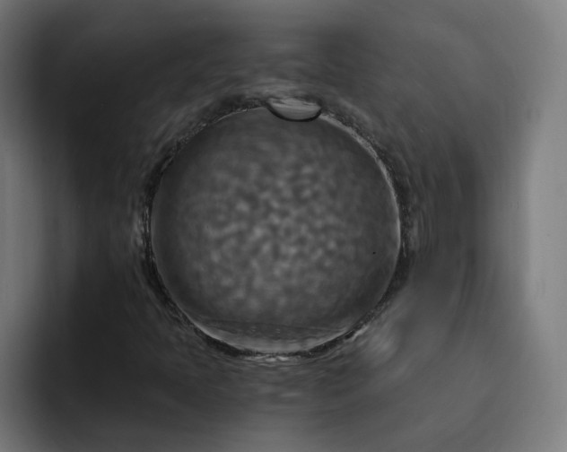 X0000093251397200710101432