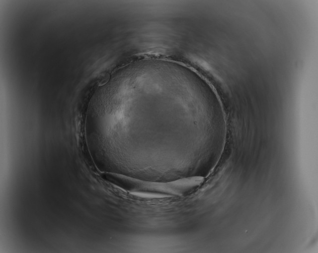 X0000093251399200710101432