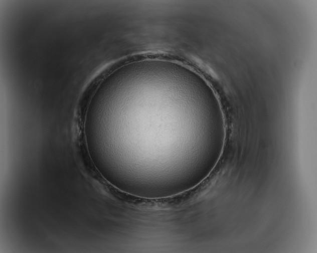 X0000093251400200710101432