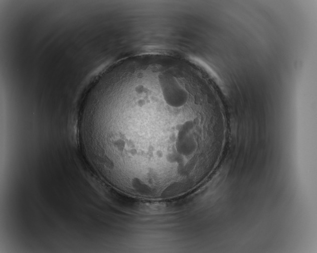 X0000093251403200710101432