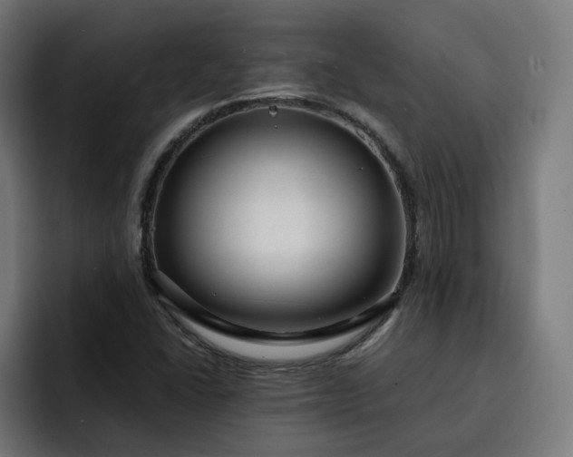 X0000093251406200710101432