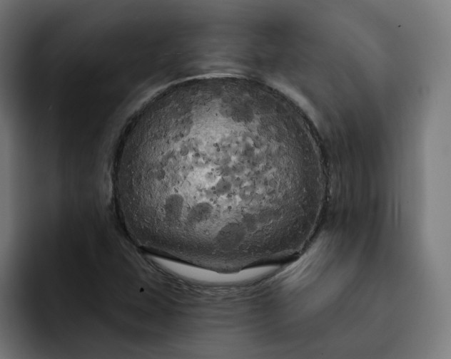 X0000093251407200710101432