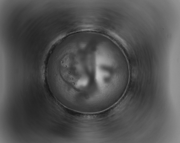 X0000093251411200710101432