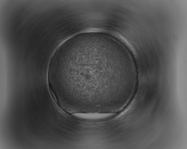 X0000093251417200710101432