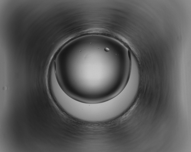 X0000093251418200710101432