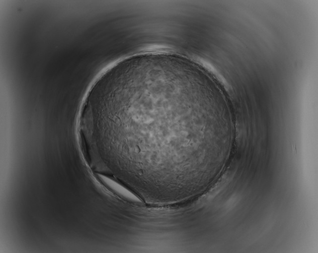 X0000093251421200710101432