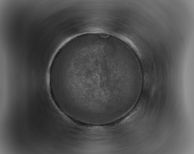 X0000093251424200710101432