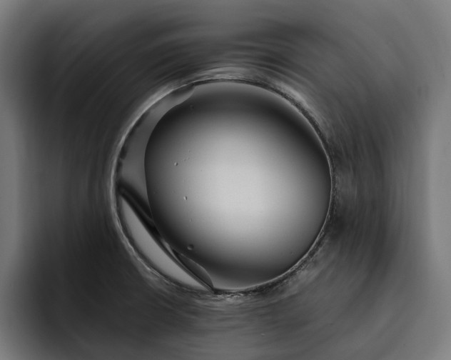 X0000093251426200710101432