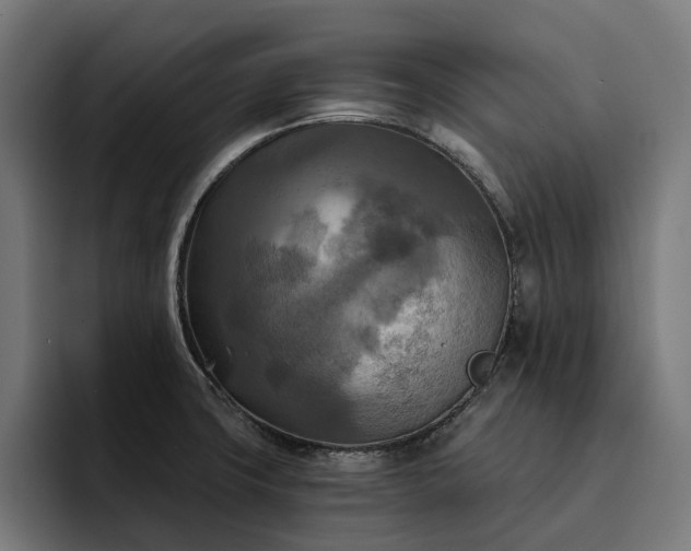 X0000093251427200710101432