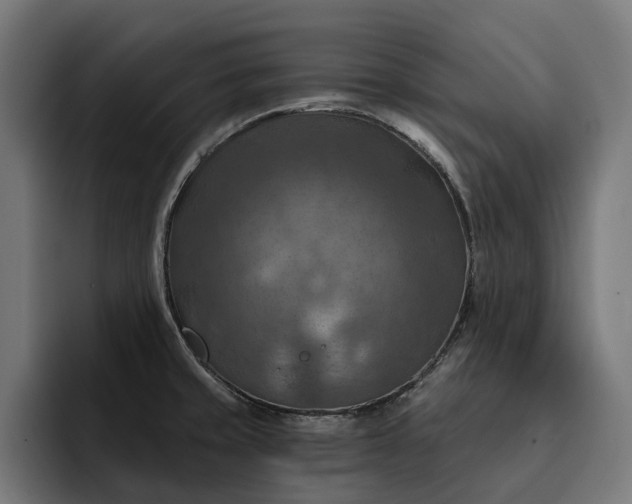 X0000093251429200710101432