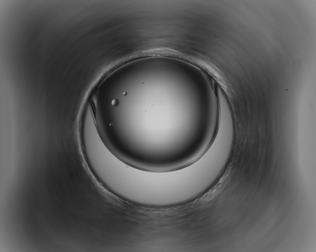 X0000093251430200710101432