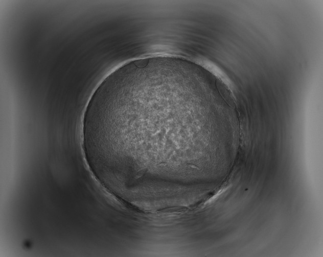 X0000093251431200710101432