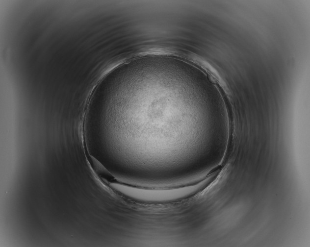 X0000093251433200710101432