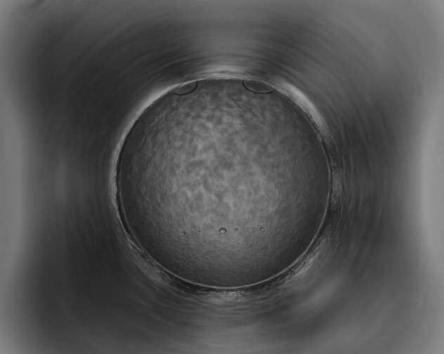 X0000093251435200710101432