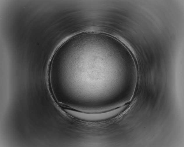 X0000093251437200710101432