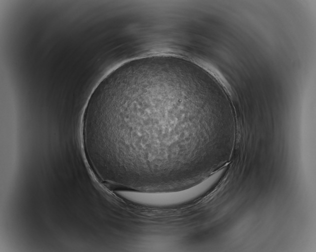 X0000093251439200710101432