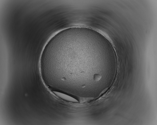 X0000093251440200710101432