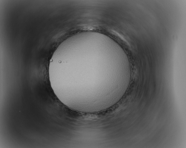 X0000093251446200710101432