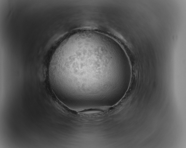 X0000093251448200710101432