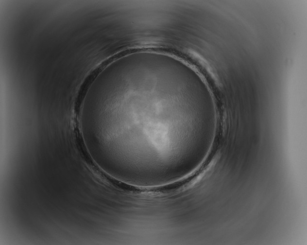 X0000093251449200710101432