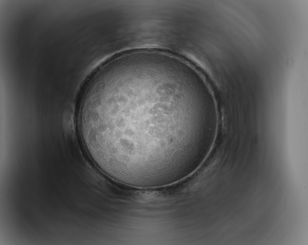 X0000093251452200710101432