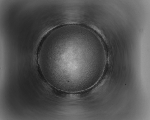 X0000093251453200710101432