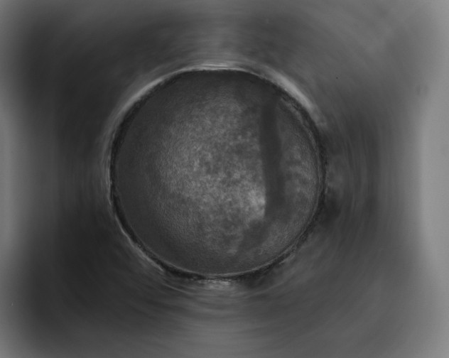 X0000093251456200710101432