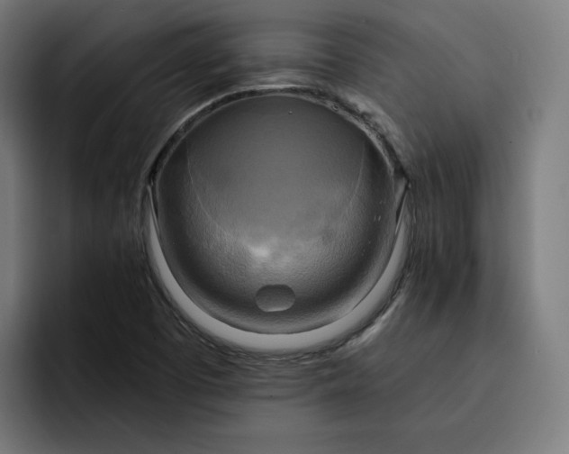 X0000093251457200710101432