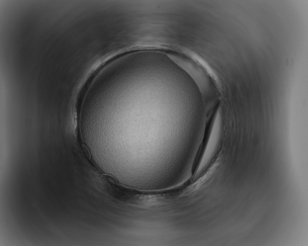 X0000093251461200710101432