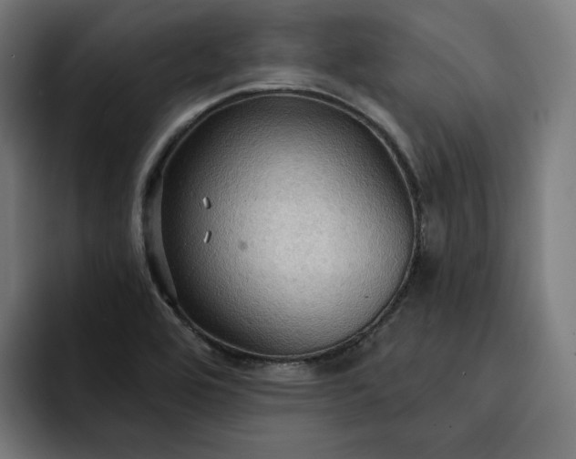 X0000093251464200710101431