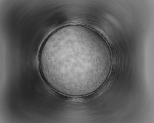 X0000093251466200710101431