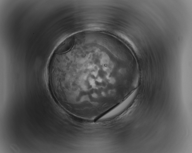 X0000093251467200710101431