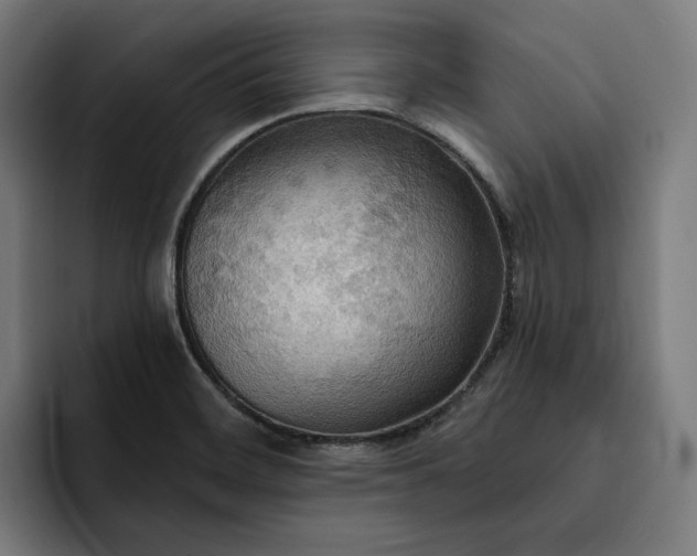 X0000093251468200710101431