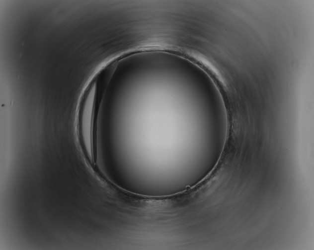 X0000093251469200710101431