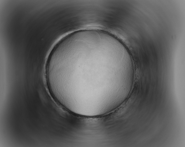 X0000093251470200710101431