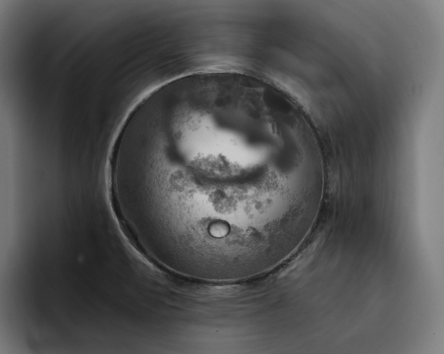 X0000093251471200710101431