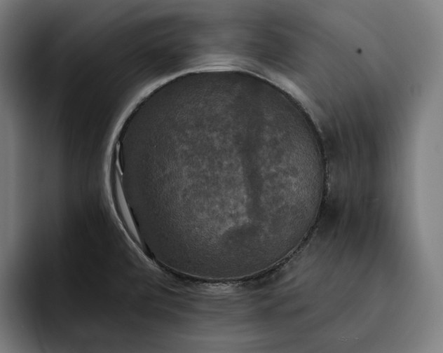 X0000093251472200710101431