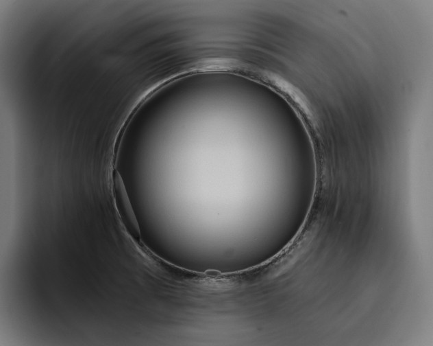 X0000093251473200710101431