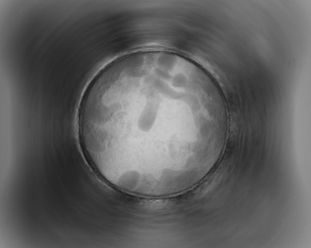 X0000093251474200710101431