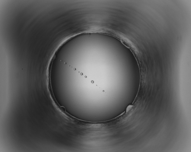 X0000093251479200710101431