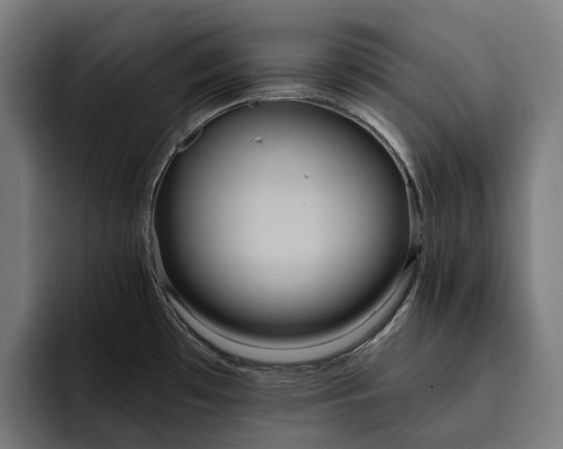 X0000093251481200710101431