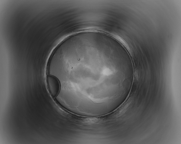 X0000093251482200710101431