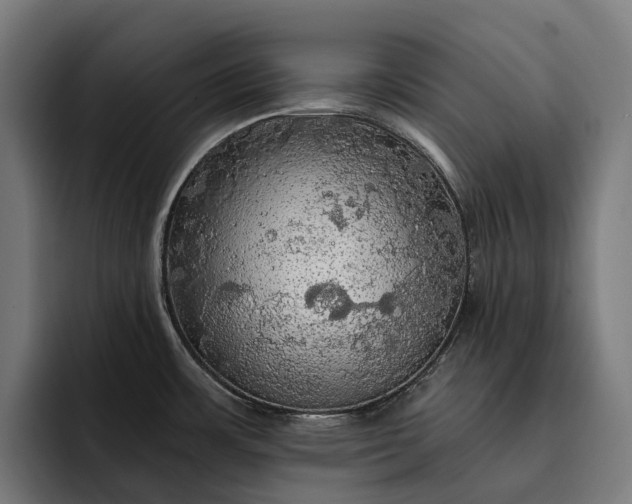 X0000093251483200710101431