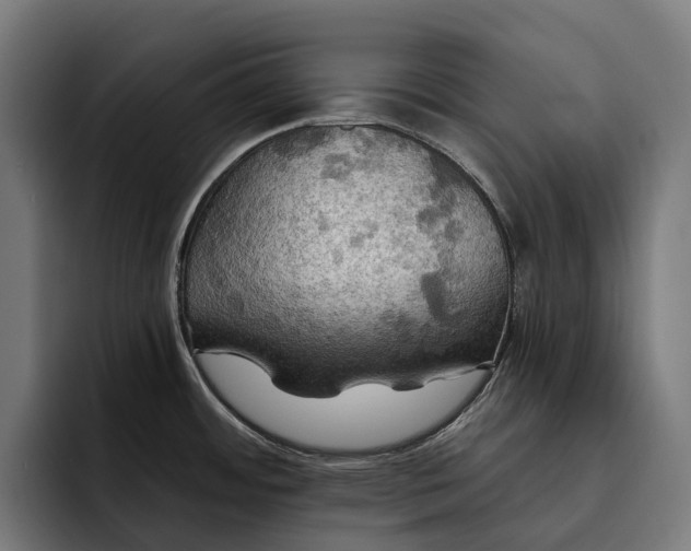 X0000093251484200710101431