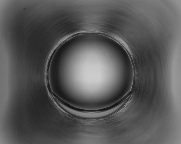 X0000093251485200710101431